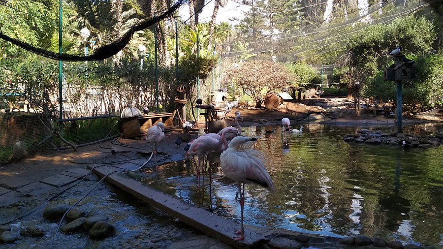 De Vallée des Oiseaux in Agadir